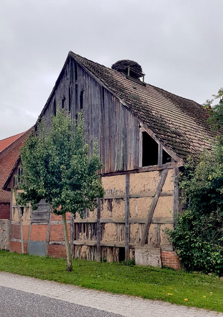 Altes Bauernhaus mit Storchennest - Rühstädt