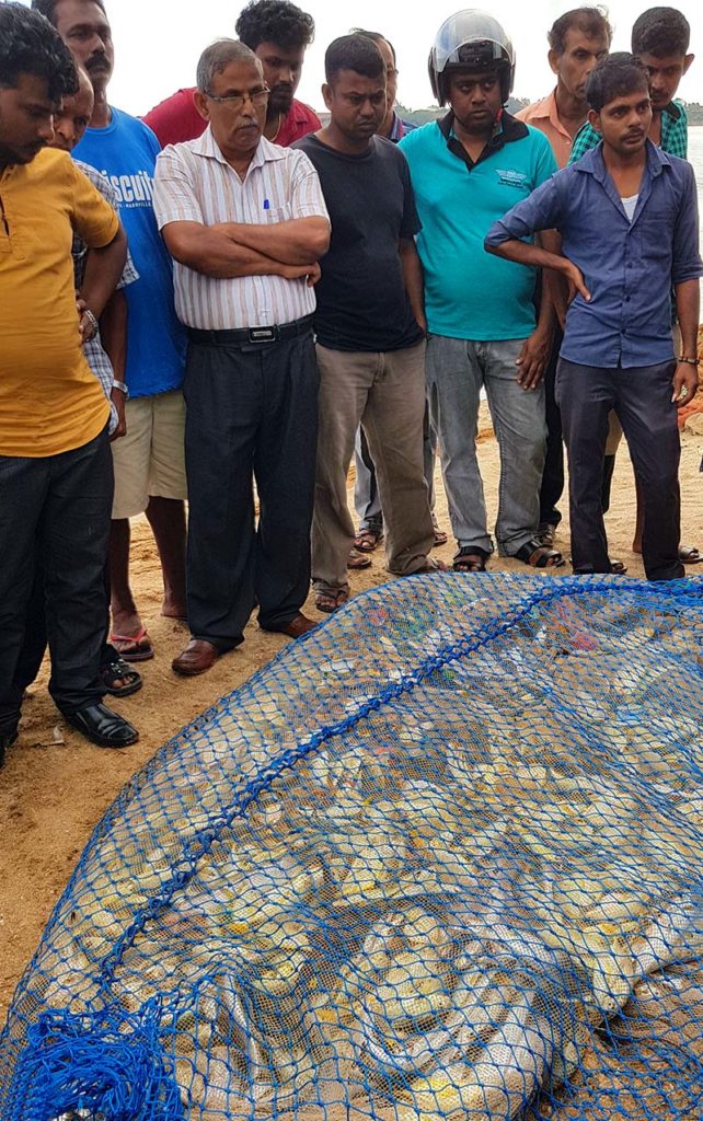 Sri Lanka Galle Fischer Beute Fischfang